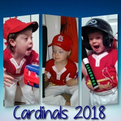 Fundraising Page Image